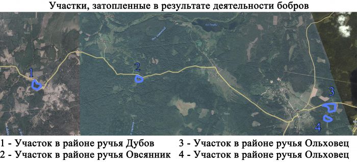 Приложение 1 Карта Затопленные участки в результате деятельности бобров